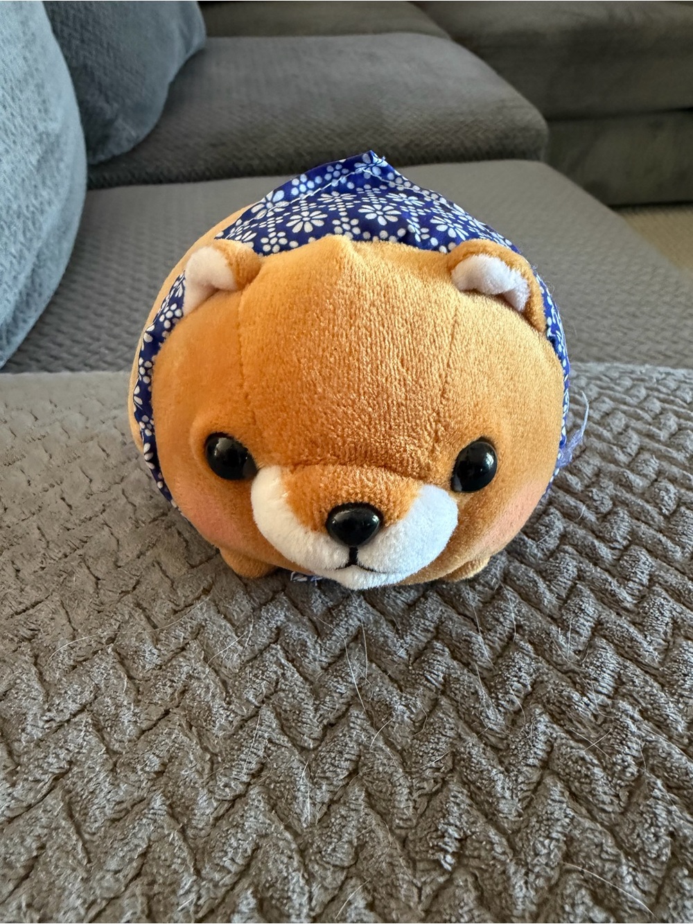 Amuse Mameshiba San Kyodai Mame-Taro Shiba Inu Plush Orange Blue Bandana